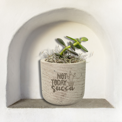 Eco-Friendly Mini Desk Plants with Laser-Etched "Not Today Succa" Pots – Zebra Succulents, Jade Plants, Star Cactus