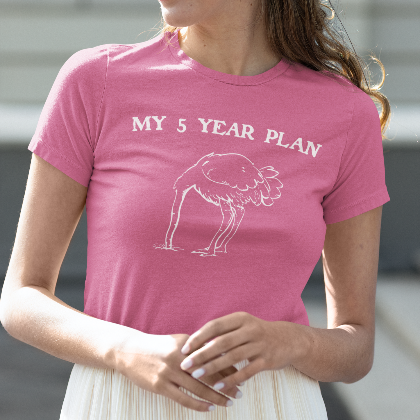 Vintage 90's Style Funny Ostrich 'My 5 Year Plan' Meme T-Shirt - Bella Canvas 3001 Collection"