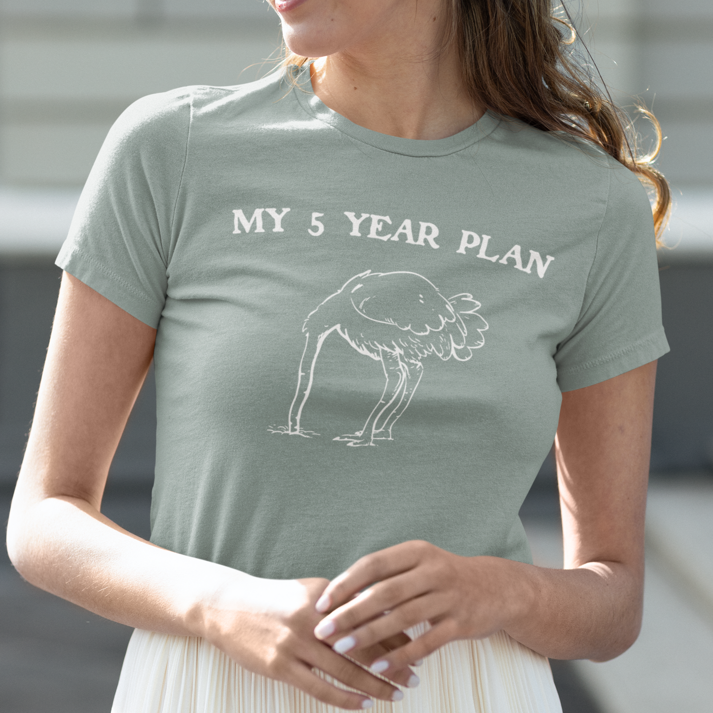 Vintage 90's Style Funny Ostrich 'My 5 Year Plan' Meme T-Shirt - Bella Canvas 3001 Collection"