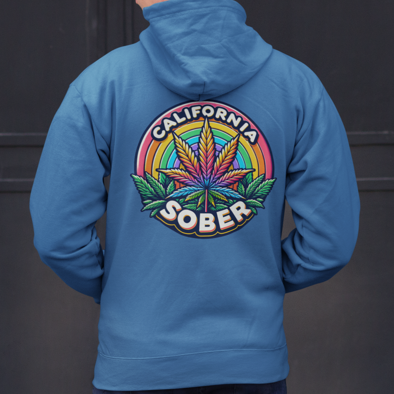 california sober zip hoodie