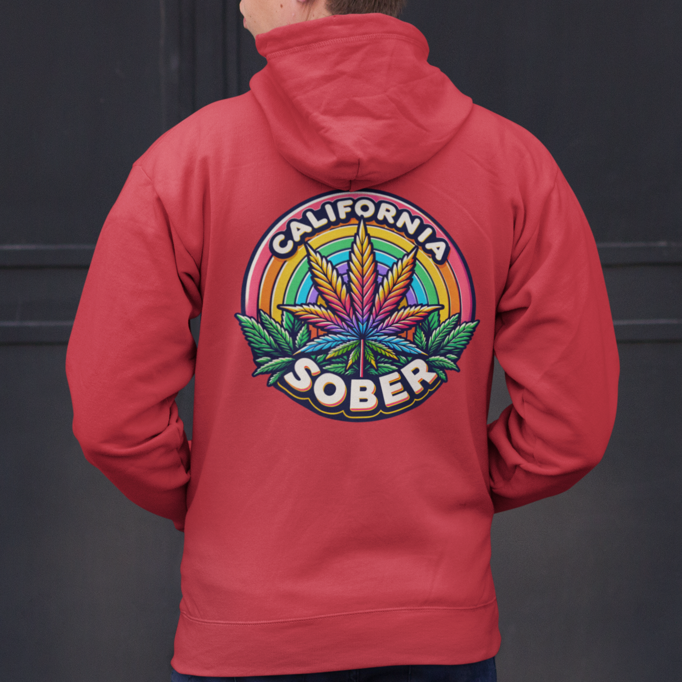 california sober zip hoodie