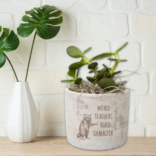 Quirky Teacher Desk Plants | Custom Laser Etched Pots | Back-to-School Gift