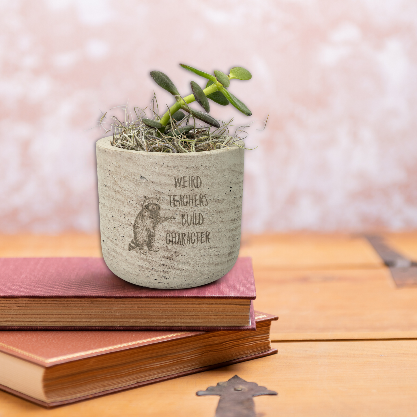 Quirky Teacher Desk Plants | Custom Laser Etched Pots | Back-to-School Gift