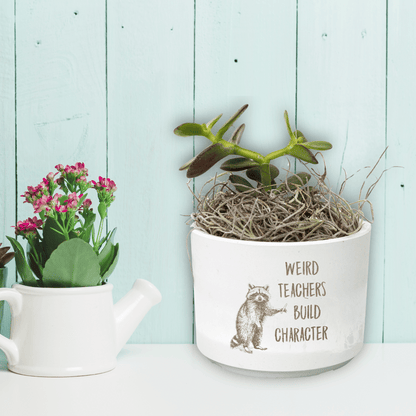 Quirky Teacher Desk Plants | Custom Laser Etched Pots | Back-to-School Gift