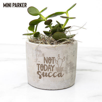 Eco-Friendly Mini Desk Plants with Laser-Etched "Not Today Succa" Pots – Zebra Succulents, Jade Plants, Star Cactus