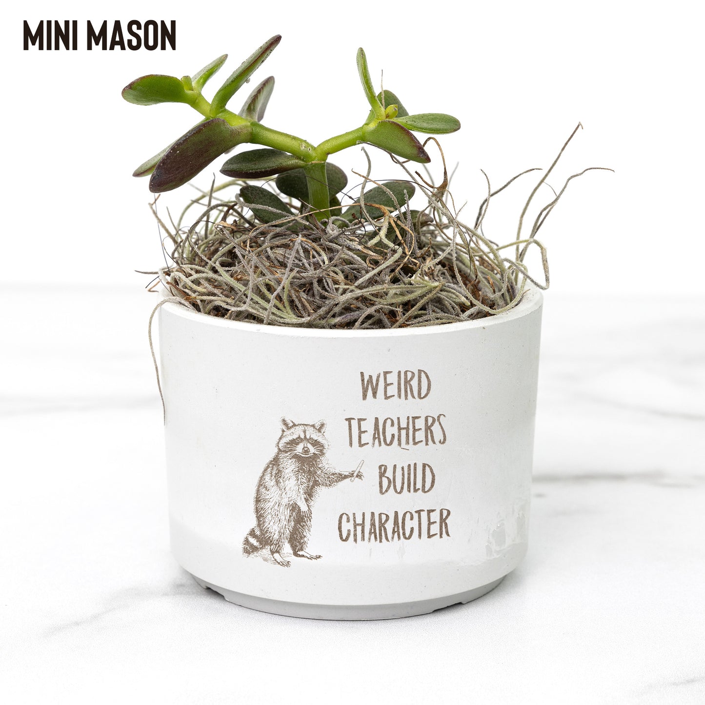 Quirky Teacher Desk Plants | Custom Laser Etched Pots | Back-to-School Gift