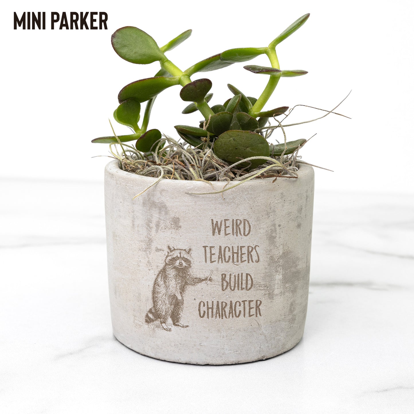 Quirky Teacher Desk Plants | Custom Laser Etched Pots | Back-to-School Gift