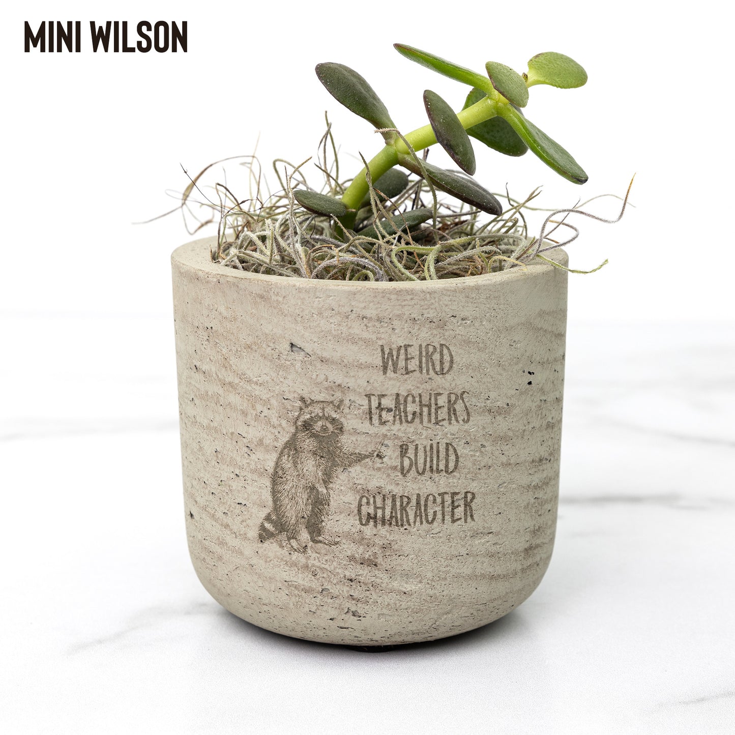 Quirky Teacher Desk Plants | Custom Laser Etched Pots | Back-to-School Gift